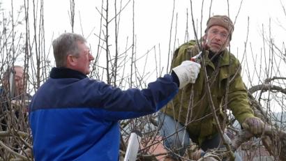 Bild: exb/Wolfgang Grosser
Die Teilnehmer des Gartenpflegerkurses lernen auch den richtigen Umgang mit einem starken Austrieb.