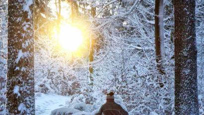 Bild: ind
Ein Wintertraum - eine Schneehschuhwanderung rund um den Buchberg (Schnaittenbach).