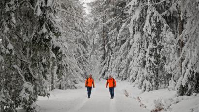 Bild: tr
Beim Waldspaziergang auf der Forststrasse im Hochwald bei der Forstkapelle.
