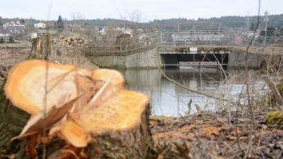 Bild: Gabi Schönberger
Der Düker ist baufällig. Dank ihm kann die Waldnaab den Flutkanal unterqueren. Für die Baustelle musste das Wasserwirtschaftsamt etwa 100 Bäume roden. Deshalb beschwert sich der Bund Naturschutz - etwas zu spät.