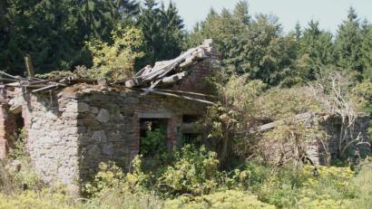 Archivbild: mmj
Die Ruine des "Hüttl-Hauses" im untergegangenen Ort in der Bügellohe. Die Hochschule für Kunst und Design an der Westböhmischen Universität Pilsen setzt hier im Sommer ein sogenanntes Land-Art-Projekt um.