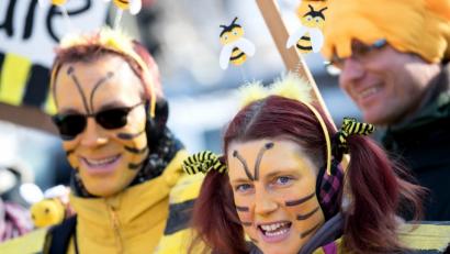 Bild: Sven Hoppe/dpa
Teilnehmer einer Demonstration stehen als Bienen verkleidet vor dem Bayerischen Landtag.