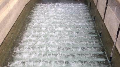 Bild: bey
Nur kurz nach dem Einbau in die Kläranlage sind sie noch zu sehen: Die neuen Streifenbelüfter. Dann füllt sich das Becken mit Wasser und die Belüfter übernehmen ihre Aufgabe. Der Ersatzeinbau war im Jahr 2017 nicht geplant und musste dennoch finanziiell bewältigt werden. Die Kosten für den Einbau können über die Gebühren abgerechnet werden.