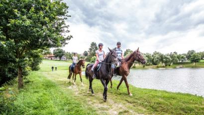 Bild: exb/Thomas Kujat
Auch im vergangenen Jahr war die Stadt Neunburg das bevorzugte Urlaubsziel im Landkreis Schwandorf. Zu den gefragtesten Freizeitangeboten der Urlaubs- und Feriengäste zählt das Reiten. Nicht umsonst trägt die Stadt seit einigen Jahren das Prädikat "Pferdefreundliche Gemeinde".