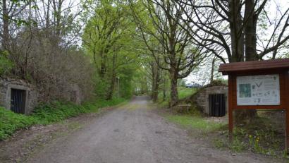 Archivbild: gi
Die Keller am Zugang zum Kurpark behalten ihre Eisengitter. Das wird die Fledermäuse freuen.