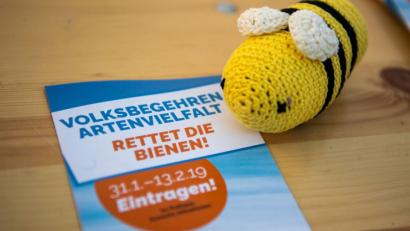 Symbolbild: Lino Mirgeler/dpa
Da dürfte auch diese Wollbiene zufrieden sein: Das Volksbegehren "Rettet die Bienen" wurde zum Erfolgs-Begehren.