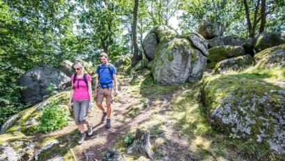 Bild: exb/Thomas Kujat
Das Wandern, hier am Naturdenkmal Druidenstein bei Kröblitz (Stadt Neunburg vorm Wald), zählt zu den gefragtesten Urlaubsangeboten im Oberpfälzer Wald. Auch der Landkreis ist weiterhin ein gefragtes Urlaubsziel, auch wenn die im Vorjahr weniger Übernachtungsgäste verzeichnet wurden.