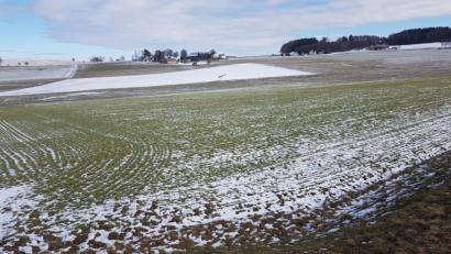 Bild: gi
Auf diesem Areal an der Staatsstraße Moosbach-Eslarn soll eine Freiflächen-Photovoltaikanlage entstehen.