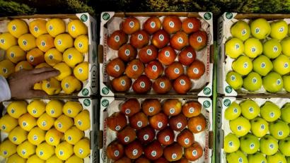 Bild: Daniel Karmann/dpa
Im großen Stil haben zwei Männer seit August 20000 Transportkisten für Obst und Gemüse gestohlen.