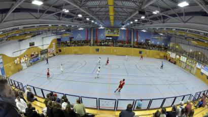 Bild: Hubert Ziegler
Einen Rollentausch sehen die Zuschauer am Sonntag in der Amberger triMAX-Halle. Dort wollen Schiedsrichter aus Mittelfranken und der Oberpfalz beweisen, dass sie neben der Theorie auch die Praxis beherrschen