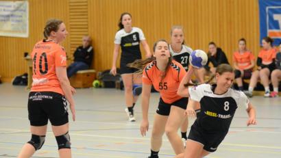 Bild: ham
Theresa Desing (Nummer 8) traf dreimal beim Sieg der HSG-Frauen gegen die HG Amberg.