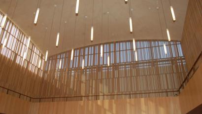 Bild: gib
Ein Blickfänger ist die gewölbte Decke der Synagoge.