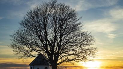 Bild: Josef Schell
Sonnenuntergang in der Oberpfalz