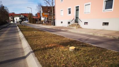 Bild: Thomas Dobler
„Tatort Güterhallenstraße“: Plötzlich waren die sechs Bäume auf der Verkehrsinsel gefällt. Die Stadt sagt dazu, dass der letzte Sommer und die Trockenheit bei sehr vielen Bäumen Schäden angerichtet habe, die man nicht auf den ersten Blick sieht. Fällen sei in solchen Fällen unumgänglich. Aber es werde neu angepflanzt.