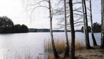 Bild: do
Für die Einen gehört der Quarzsandabbau im Bereich Grub und Hütten (unser Bild) zu den Gegebenheiten der Oberpfälzer Landschaft und dient der Wirtschaftskraft der Region. Für die Anderen ist er Eingriff in den Naturhaushalt. Übereinstimmend begrüßenswert ist im Stadtrat nur die Absicht, die Nass-Abbauflächen nach der Ausbeutung wieder zu verfüllen und daraus Waldstandorte zu entwickeln.
