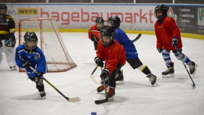 Bild: ref
Gut besucht: Das Jugendtraining des ERSC Amberg