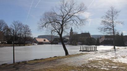 Bild: frd
Der Fischereiverein Oberviechtach hat sei Februar den Marktweiher gepachtet, der vor dem Besatz noch ausgebaggert wird.