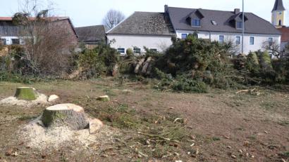 Bild: gi
Durch die Entfernung der drei großen Nadelbäume fiel der Startschuss für die Anlegung eines Kräutergartens an der Ortseinfahrt nach Moosbach.