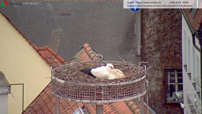 Bild: Webcam Stadt Weiden
Der Storch ist zurück aus dem Süden: Am Freitagmorgen war er erstmals durch die Webcam der Stadt zu erspähen. Müde von der langen Reise ruht er sich am Dach des Alten Schulhauses aus.
