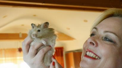 Bild: Gabi Schönberger
Zauselig und geliebt: Egon VIII., der Teddyhamster von Dagmar Nachtigall.