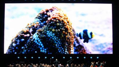 Bild: stg
Auch der Clownfisch wurde bei "Unser blauer Planet II" vom City of Prague Philharmonic Orchestra mit den passenden Klängen vorgestellt.