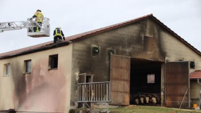 Bild: Thomas Dobler
Glimpflich ging ein Brand aus, der an der Seitenwand eines Rinderstalls im Fensterbacher Ortsteil Wohlfest ausgebrochen war. Feuerwehrmänner trugen am Ende einen Teil des Dachs ab, um Glutnester zu suchen.