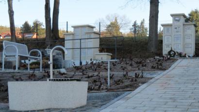 Bild: kö
Weitere Wasserentnahmestellen wird es aus Kostengründen im Wernberger Friedhof nicht geben. Als Kompromiss werden Gießkannen-Transportwägen angeschafft.