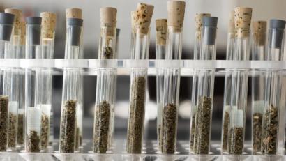 Bild: Christoph Schmidt/dpa
Reagenzgläser gefüllt mit „Neuen psychoaktiven Substanzen“ stehen im Labor des rheinland-pfälzischen Landeskriminalamtes. Nun ist Bayern der bundesweite größte Schlag gegen Händler derartiger Substanzen gelungen.