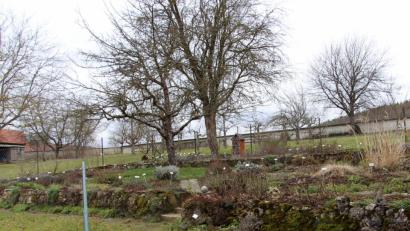 Bild: ds
Noch befindet er sich im Winterschlaf. Aber bald werden viele helfende Hände benötigt, um den Gartenbauverein Schmidtstadt und Umgebung zu unterstützen bei der Absicht, dem Kräutergarten am Schloss Kirchenreinbach ein neues attraktives Gesicht zu verschaffen.