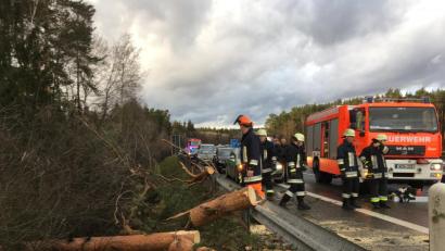 Bild: Gustl Beer
Bäume stürzten auf die Autobahn A 93 zwischen Weiden-West und Frauenricht.