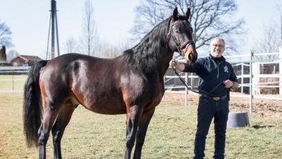 Bild: exb
Bernhard Käß mit seinem Rottaler-Hengst "Lucanus". Erst vor kurzem hatte der Förderkreis der Rottaler Pferdefreunde zur ersten Hengstvorstellung eingeladen.