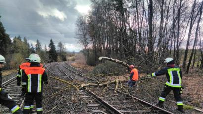 Bild: Feuerwehr Neusorg
Die Feuerwehr räumt die Bahnstrecke von Marktredwitz in Richtung Nürnberg frei.