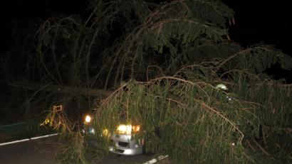 Bild: adj
Auf der Kreisstraße zwischen Neustadt und Theisseil stürzte ein Baum auf ein fahrendes Auto. Die Feuerwehr musste den Fahrer befreien. Er blieb gottlob unverletzt. Weil die Gefahr bestand, dass weitere Bäume fallen, konnte die Feuerwehr das Fahrzeug nicht bergen. Die Straße blieb für unbestimmte Zeit gesperrt.