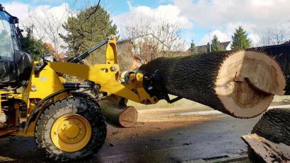 Bild: Feuerwehr Schlicht
Schweres Gerät musste die Feuerwehr Schlicht einsetzen, um diesen umgestürzten Baum von der Straße zu bekommen.