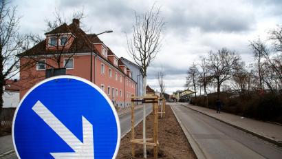 Bild: Hösamer
Der Bauhof hat auf den Inseln der Güterhallenstraße Linden gepflanzt.