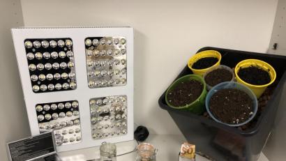 Bild: pzfm
Die sichergestellten Gegenstände.