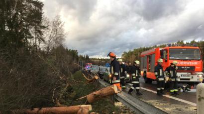 Bild: Gustl Beer
Bäume stürzten auf die Autobahn A 93 zwischen Weiden-West und Frauenricht.