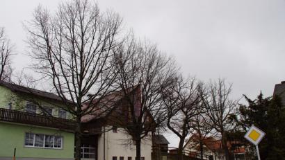 Bild: mmj
Bäume zuschneiden oder - wenn notwendig - entfernen. Ein oft häufiges und auch leidiges Thema stand bei der Gemeinderatsitzung in Stadlern auf der Tagesordnung. Das Bild zeigt den Baumwuchs unterhalb des Feuerwehrhauses.