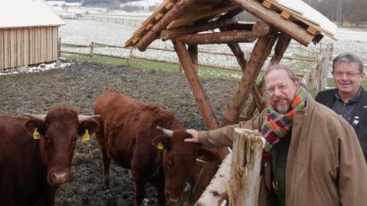 Alfred Wolf (rechts) und Stefan Wolters vor der Koppel der beiden Rotvieh-Kühe Bea und Linda. Die Rinder hat Steinmetz Robert Mois seit Herbst vergangenen Jahres trainiert. Sie ziehen künftig einen riesigen Karren, mit dem Steine zur Mittelalterbaustelle gekarrt werden.