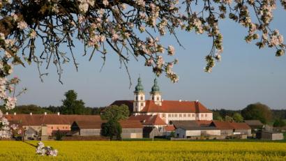 Bild: do
Der Speinsharter Frühling soll auch in die Homepage der Gemeinde Einzug halten.
