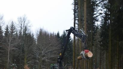 Bild: dob
Die Holzernte bringt nicht mehr die von den Waldbauern gewünschten Erträge.