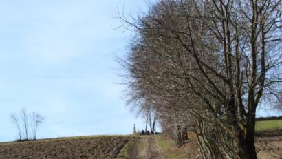 Bild: soj
Der Lärchenweg zwischen Friedhof und Hermannsreuth soll von der Jagdgenossenschaft hergerichtet werden.