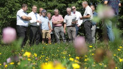Bild: Wolfgang Steinbacher
Die Blühwiese in der Köferinger Heide, die der Umweltausschuss im Juli 2018 besichtigt hat, ist eine Vorzeigefläche dafür, was man für den Schutz der Insekten in der Stadt tun kann.