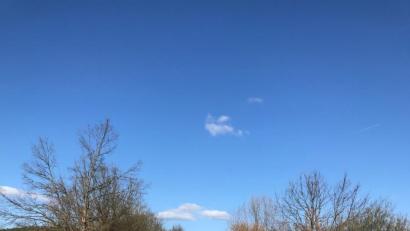 Bild: e
Ein straßenbegleitender Radweg wäre nach Meinung des Vilsecker Stadtrats eine optimale Lösung.