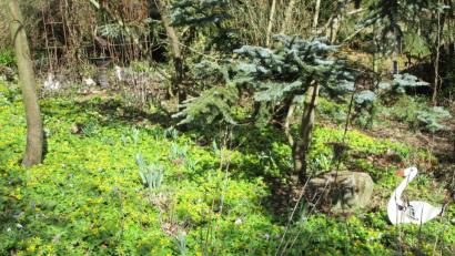 Bild: njn
Im Garten von Charly Beer in Plärn geht es den Bienen und Insekten noch gut.