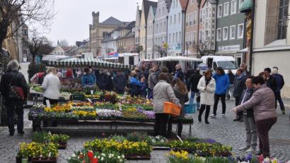 Bild: ak
Beim Stand eines Gärtners macht der Frühlingsmarkt seinem Namen alle Ehre.