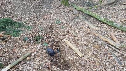 Bild: Alexander Auer
Die Stelle im Burgweintinger Wald bei Regensburg, an der Feuerwehr-Einsatzkräfte am Sonntagnachmittag den Mann aus dem Boden gruben.