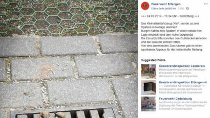 Bild: facebook.com/Feuerwehr Erlangen
Tierrettung bei der Feuerwehr Erlangen: Zwei Spatzen waren im Gullideckel gefangen.