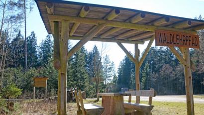Bild: Gabi Schönberger
Die Deutsche Waldjugend Eschenbach möbelt den Walderlebnispfad „Holzweg“ bei Eschenbach auf. Barfußpfad, Floßweiher oder Holztelefon sollen wieder ihren alten Glanz zurückerhalten. Ein zweiter Erlebnispfad entsteht ebenfalls mit Unterstützung des Naturparks im Kainzbachtal bei Irchenrieth.