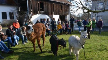 Bild: pfaa
Berta Frank berichtete von ihren Erfahrungen mit Lamas und Alpakas als „Co-Therapeuten“. Die Strauße auf dem Mitterhof seien dazu nicht geeignet, denn sie könnten gefährlich werden.